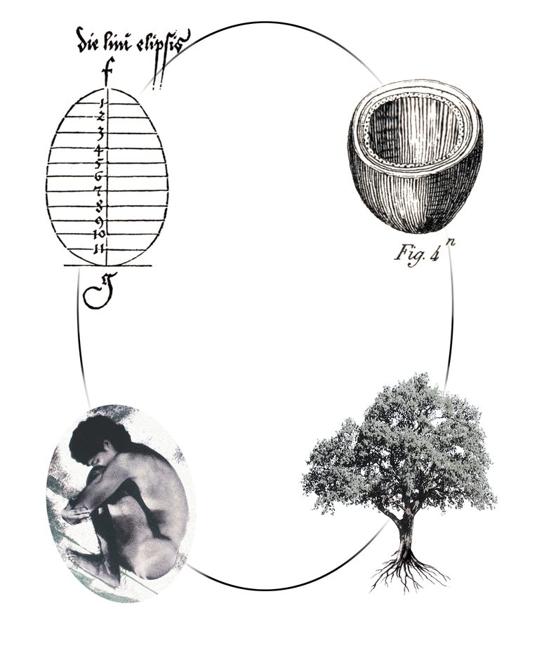 A circular drawing connecting an egg diagram, a hollow pod, a curled human figure and a rooted tree