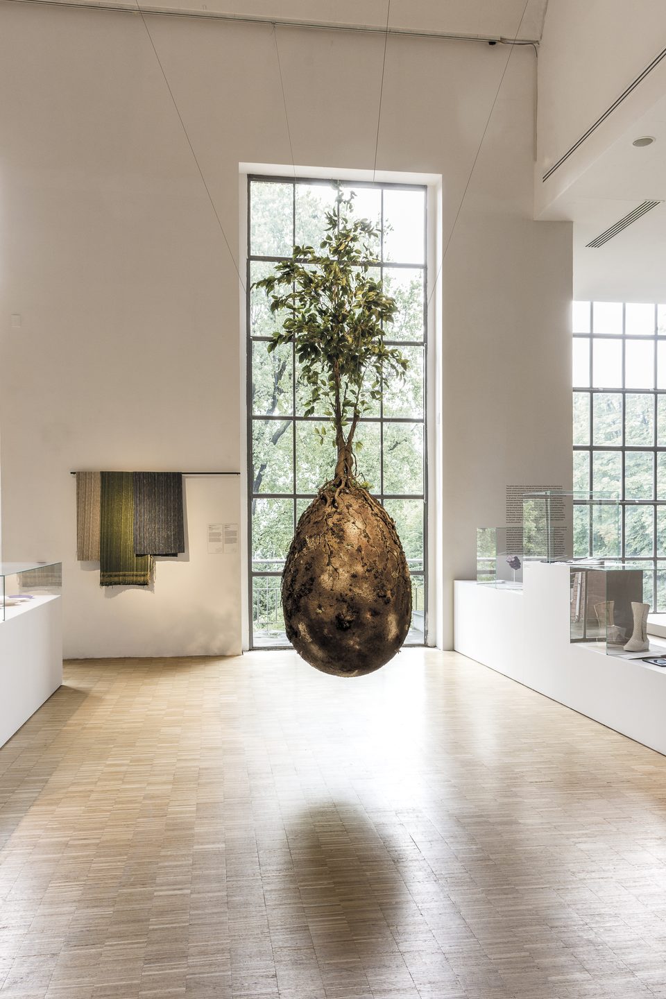 A large earth-covered egg-shaped form with a small tree growing from its top, suspended in a bright gallery with tall windows