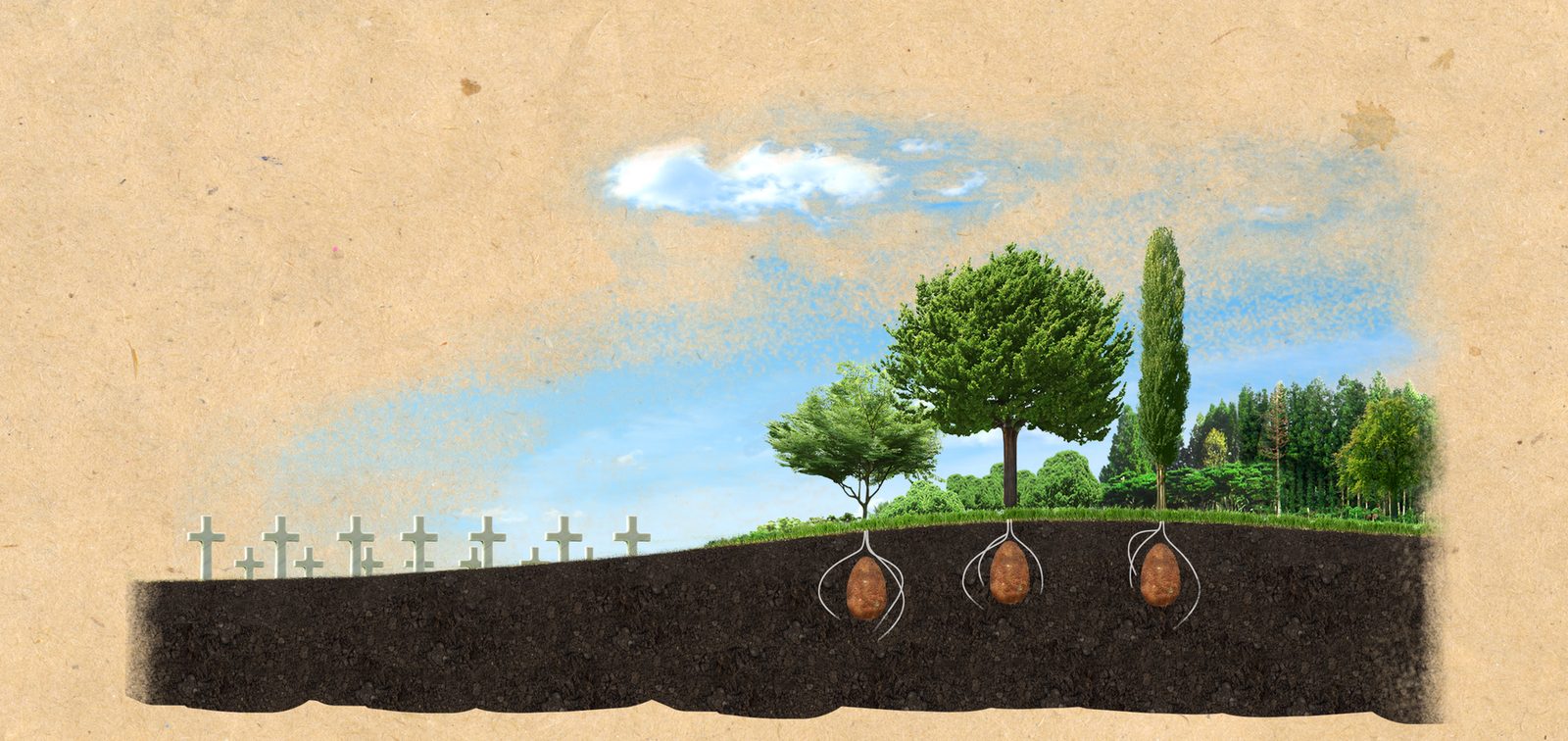 A drawn landscape with pale crosses on the left and trees on the right whose roots reach egg-shaped forms in the soil