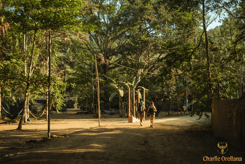 People gathering and dancing beneath a wooden pavilion among tropical trees at Envision Festival in Uvita, Costa Rica.